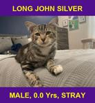 LONG JOHN SILVER